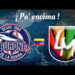 Tiburones de la Guaira - Campeones 2023 - 2024 - Los Melódicos